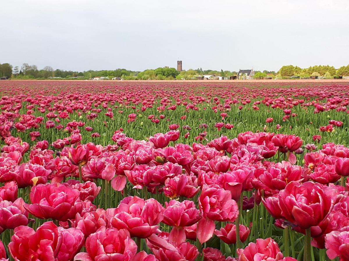 Sommelsdijk Bed En Breakfast En Bike מראה חיצוני תמונה